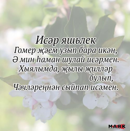 Нәсимә Фазлыева иҗаты
