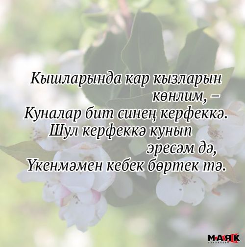 Нәсимә Фазлыева иҗаты