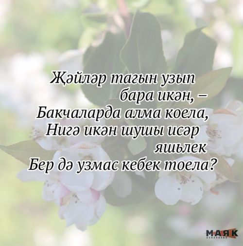 Нәсимә Фазлыева иҗаты