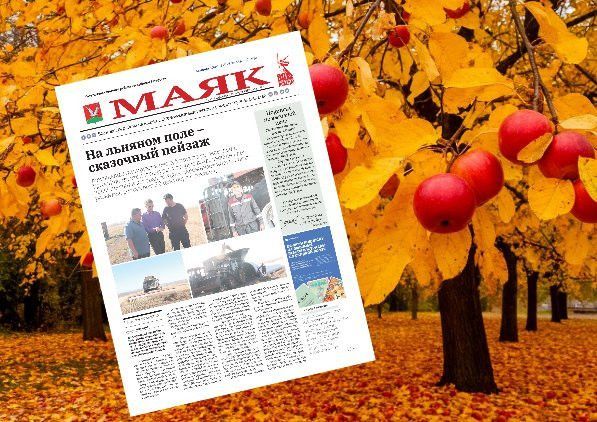 «Маяк»: главные новости района