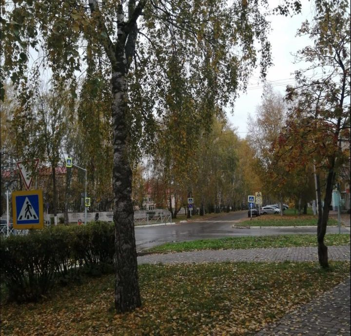Похолодание: какая погода ждет Татарстан на неделе