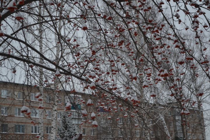 Погода в Азнакаево на 21 ноября