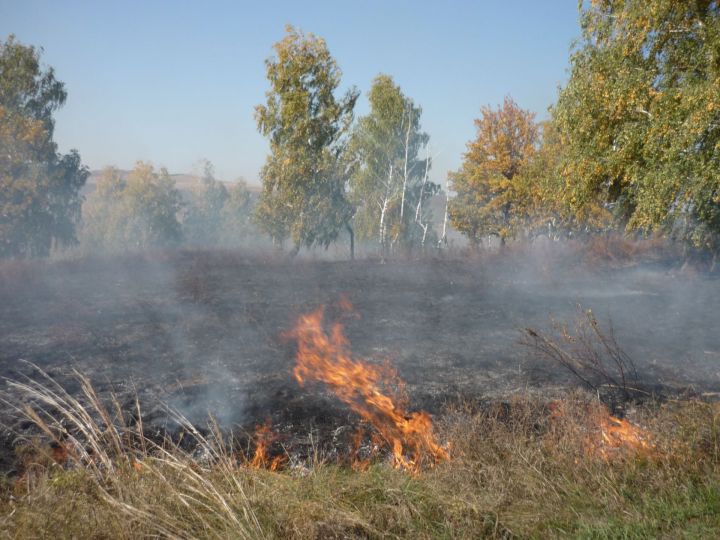 Особый противопожарный режим в Азнакаево вводится с 30 апреля