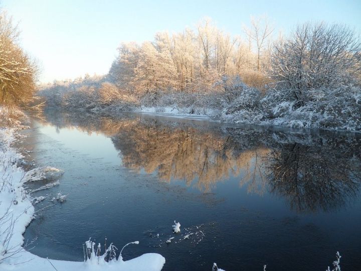 В Татарстане проводится расследование по факту загрязнения реки Кама-Су нефтепродуктами