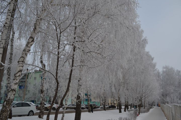Погода в Азнакаево на 14 января