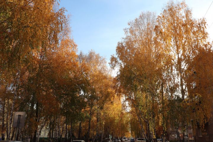 Погода в Азнакаево на 16 октября