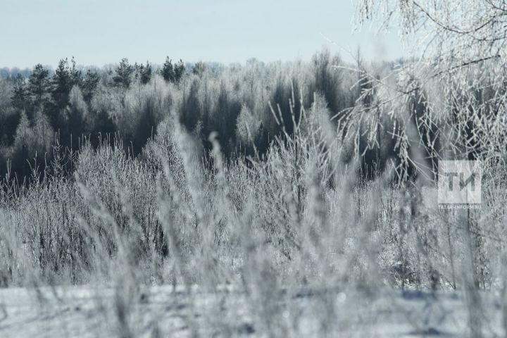 Татарстан ожидает 12 градусов мороза