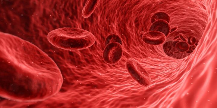 Ученые обнаружили продукт, снижающий уровень холестерина в крови