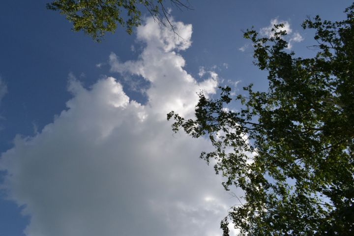 Погода в Азнакаево на 21 августа