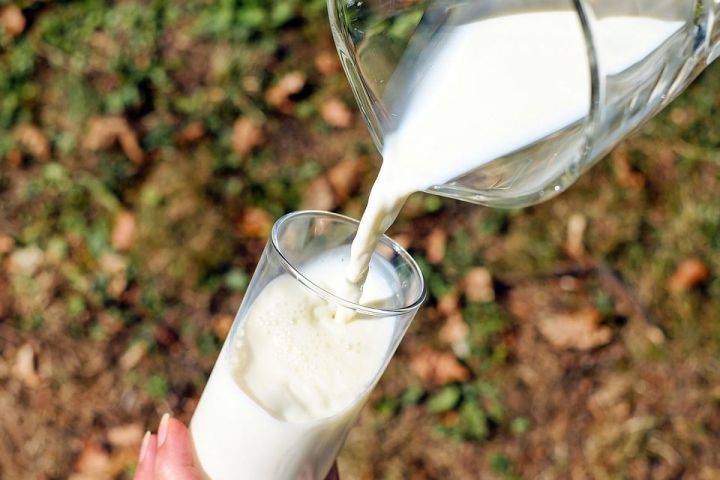 В России изменены правила торговли молочными продуктами