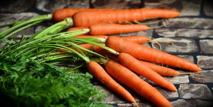 Как сохранить морковь до весны? (ФОТО)
