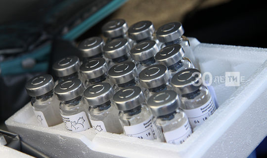 В РТ пришла вторая партия вакцины против гриппа для взрослых