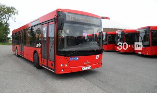 В Татарстане предлагают возобновить проект по аресту пассажирских автобусов
