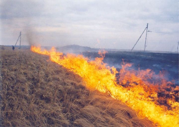 Начинается пожароопасный сезон. Защитить нефтедобывающие объекты природных пожаров – насущная задача