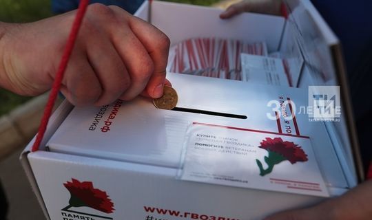В Татарстане в онлайн-режиме стартовала благотворительная акция «Красная гвоздика»