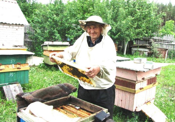 Азнакаевские пчеловоды могут спасти пчел от гибели