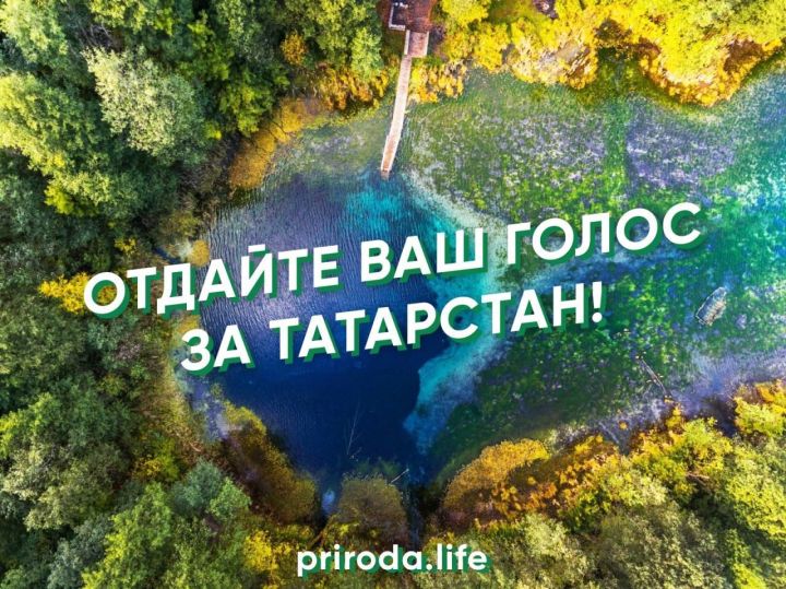 Миңнеханов татарстанлыларны экотуризмны үстерү бәйгесендә тавыш бирергә чакырды
