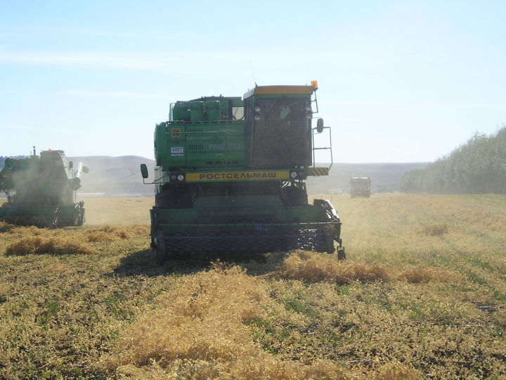 Из 2 миллионов тонн урожая зерновых республики более 63 тысяч тонн выращено в Азнакаево