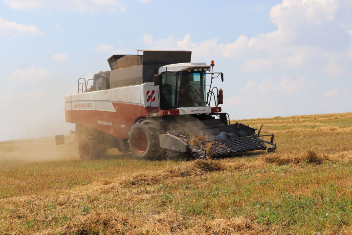 Аграрии Татарстана собрали первый миллион тонн зерна