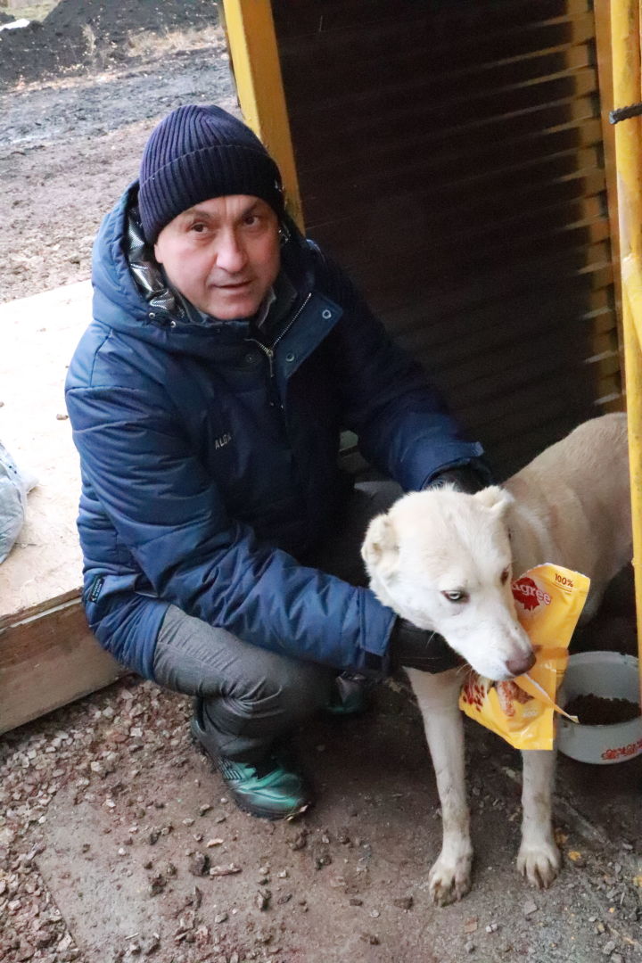 В Азнакаево открылся приют для бездомных собак