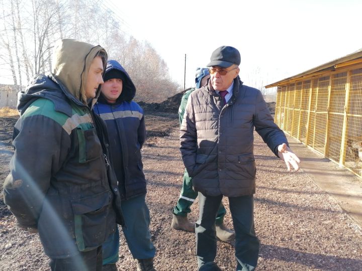 Таһир Һадиев: “Азнакайдагы хуҗасыз этләр приюты - цивилизациягә зур адым”