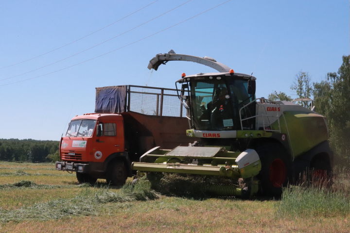 Азнакай районы хуҗалыклары терлек азыгы әзерлиләр