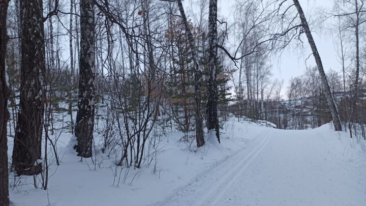 Азнакайда 31 гыйнварда һава торышы