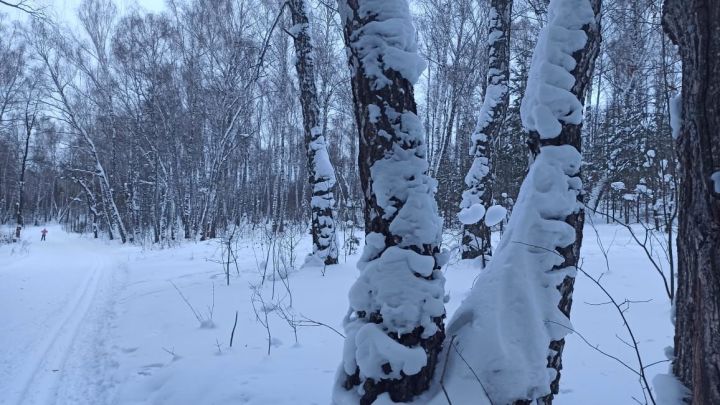 Улы гына аңламады