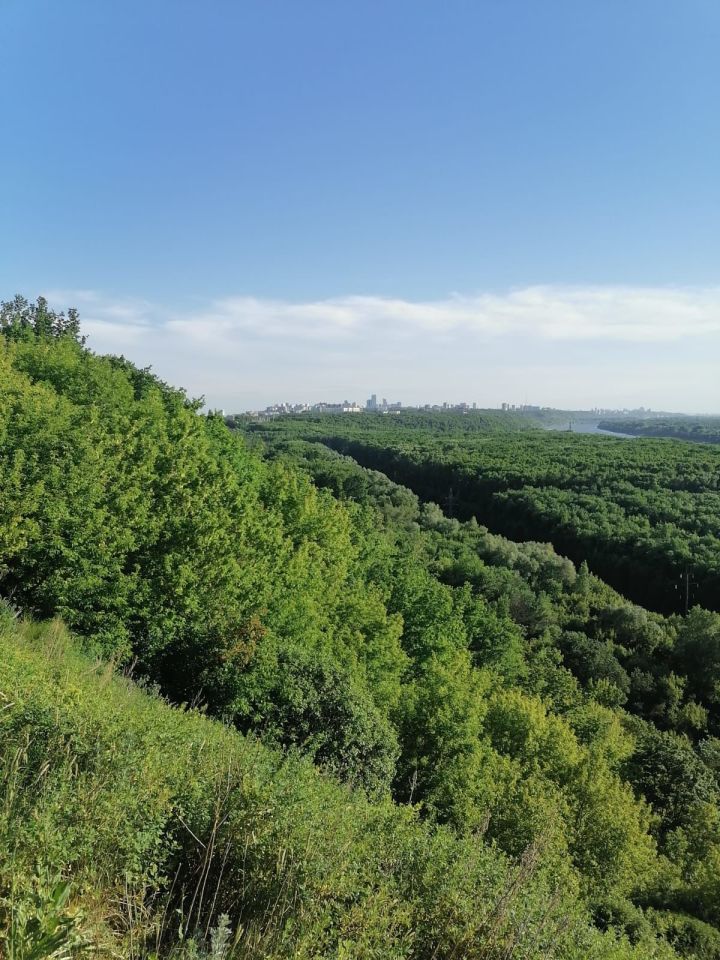 В 2021 году в Азнакаево по нацпроекту восстановлены леса на площади 179 гектаров