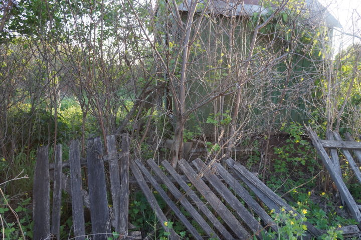 В Азнакаево растет количество заброшенных садов, увеличивается и количество краж…