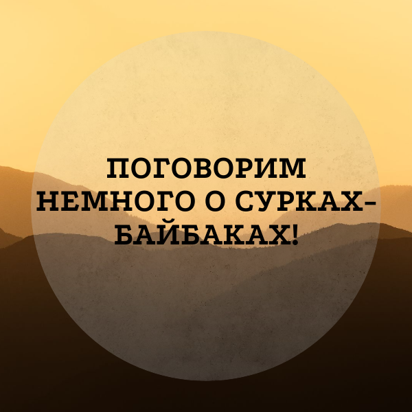 А вы знали, что Азнакаево знаменит нашими пушистыми друзьями — сурками — байбаками?