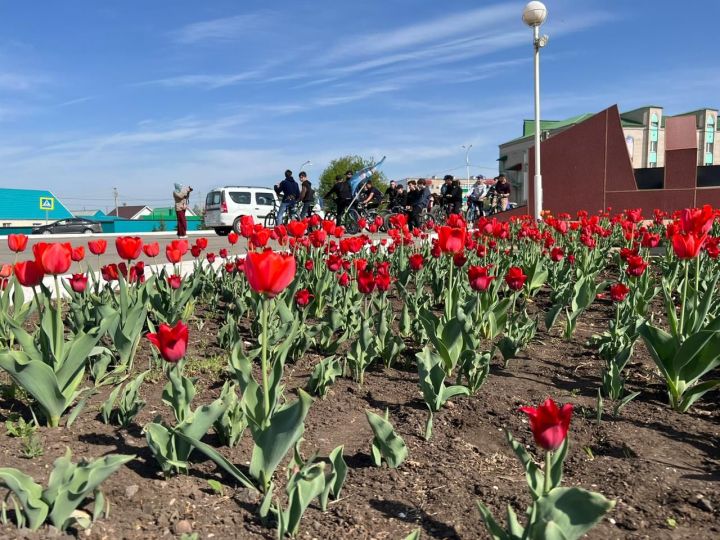 В Азнакаево продолжаются заморозки