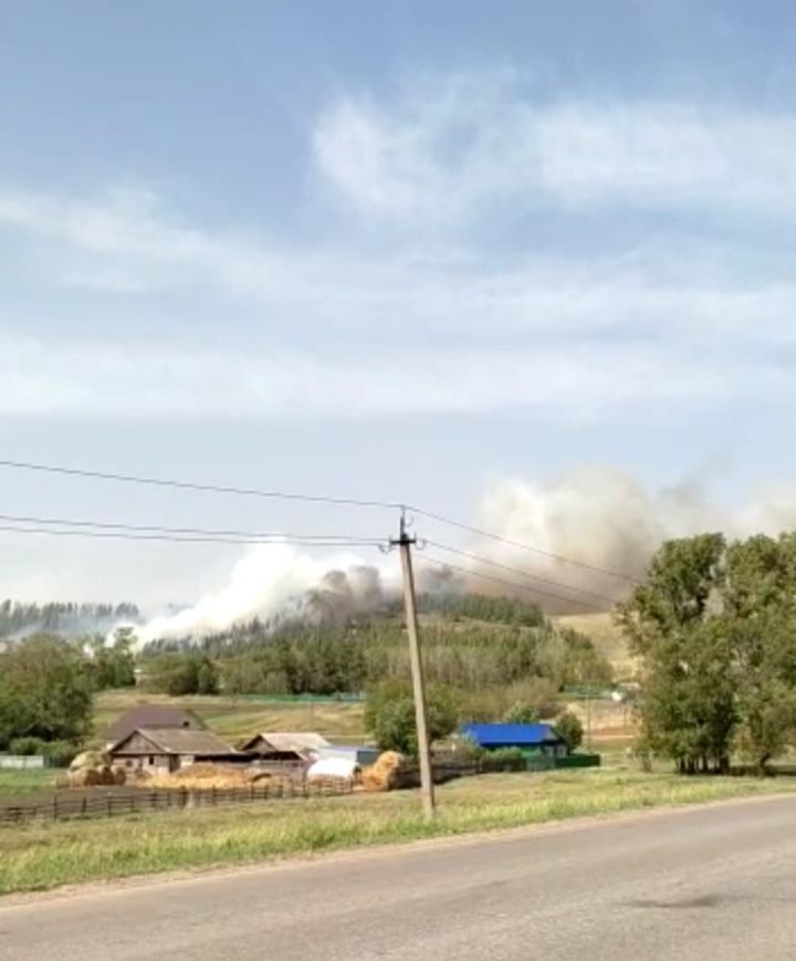 В селе Митряево Азнакаевского района горела сухая трава
