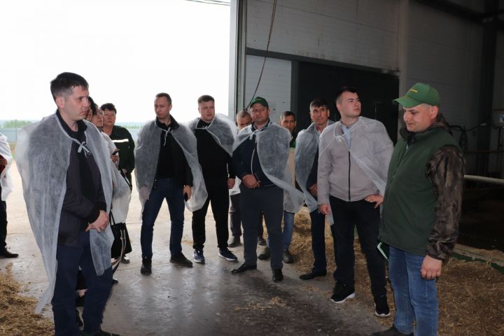 Азнакайга Татарстан Авыл хуҗалыгы һәм азык-төлек министрлыгы белгечләре эшлекле сәфәр ясады