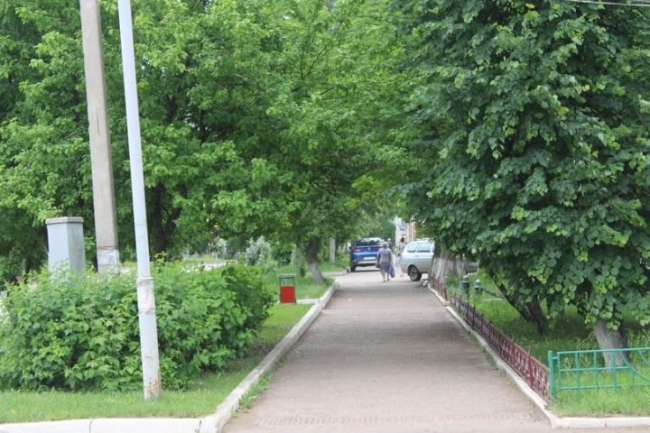 В Татарстане по нацпроекту «Экология» возводятся дороги для лесопожарных автомобилей