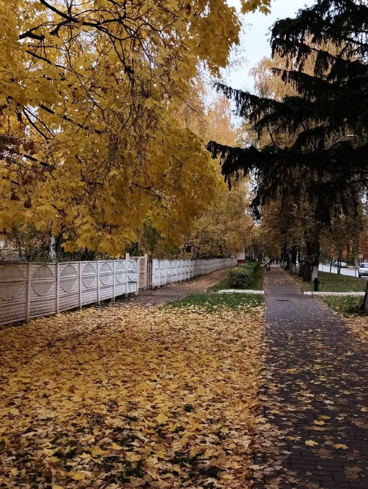 В ближайшие дни в Татарстане ожидаются  холода