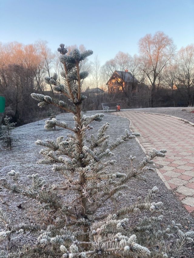 Снегопады в Москве не дойдут до Татарстана