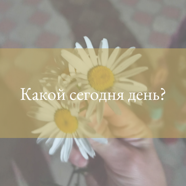 Какой сегодня день?