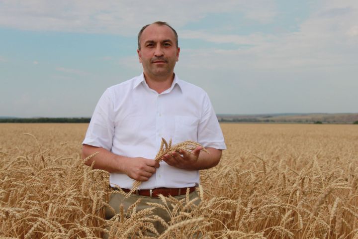 Уважаемый Марсель Зуфарович!