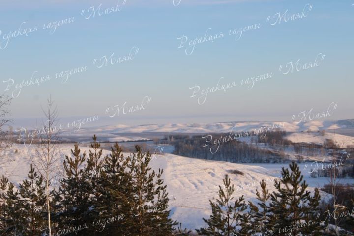 Прогноз погоды в Татарстане на начало января
