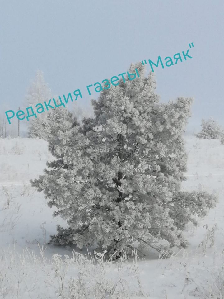 Рождественский сочельник: преддверие чуда