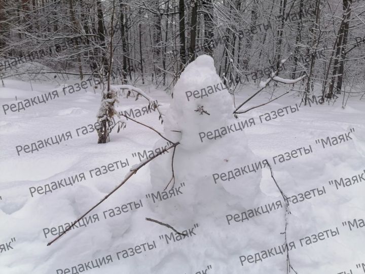 Парад снеговиков