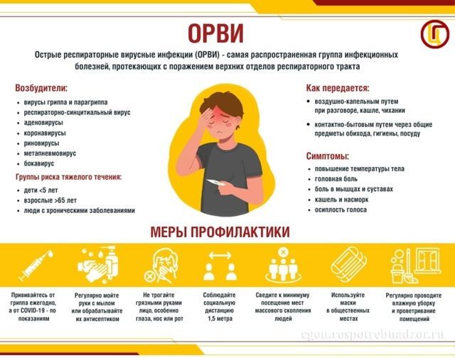 Осторожно, ОРВИ! Разбираемся в симптомах, профилактике и способах защиты
