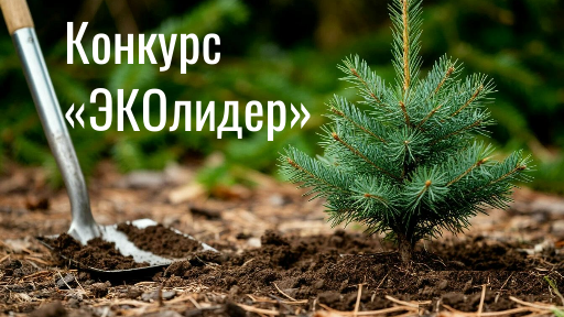«ЭКОлидер» бәйгесенә гаризалар кабул итү 1 декабрьгә кадәр озайтылган