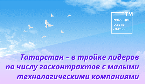 Татарстан – в тройке лидеров по числу госконтрактов с малыми технологическими компаниями