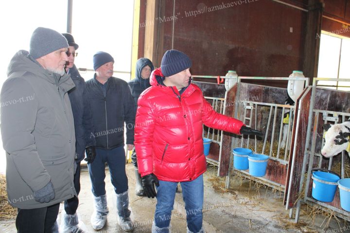 Азнакайга республиканың баш ветеринары килде