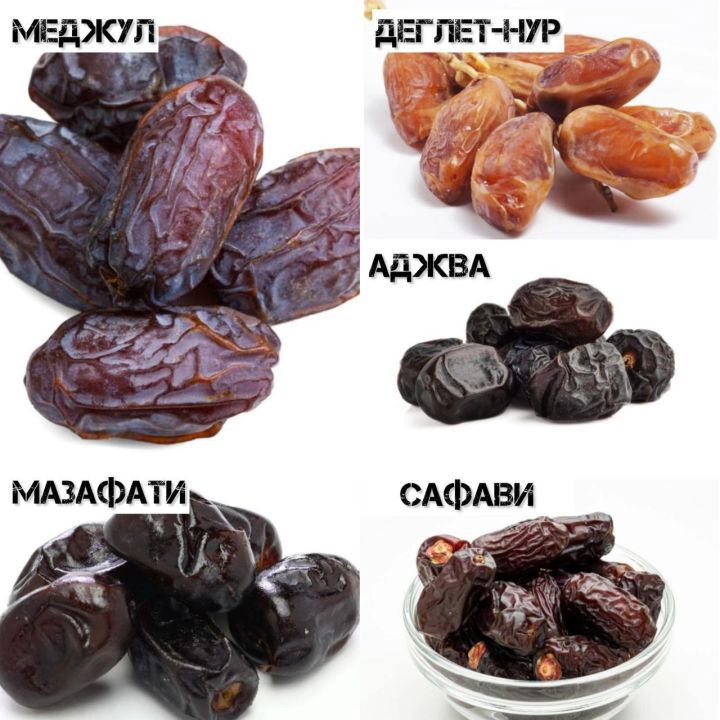 Лучшие сорта фиников: какие вкуснее?