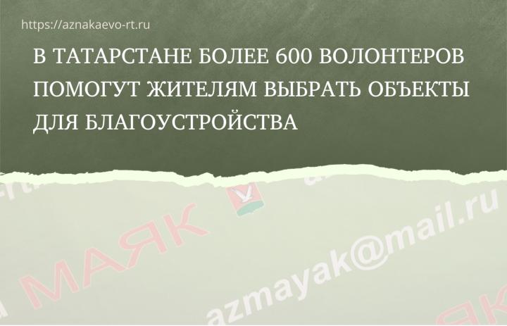 Более 600 волонтеров помогут жителям Татарстана проголосовать за благоустройство