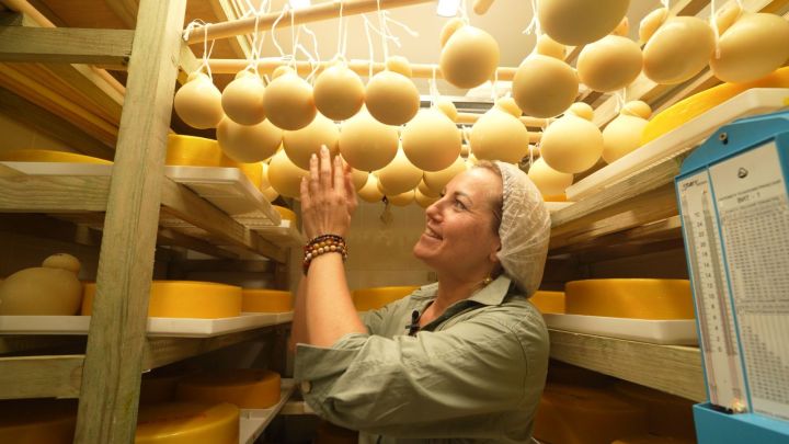 В Татарстане дан старт региональному этапу Всероссийского конкурса «Женщины в АПК»