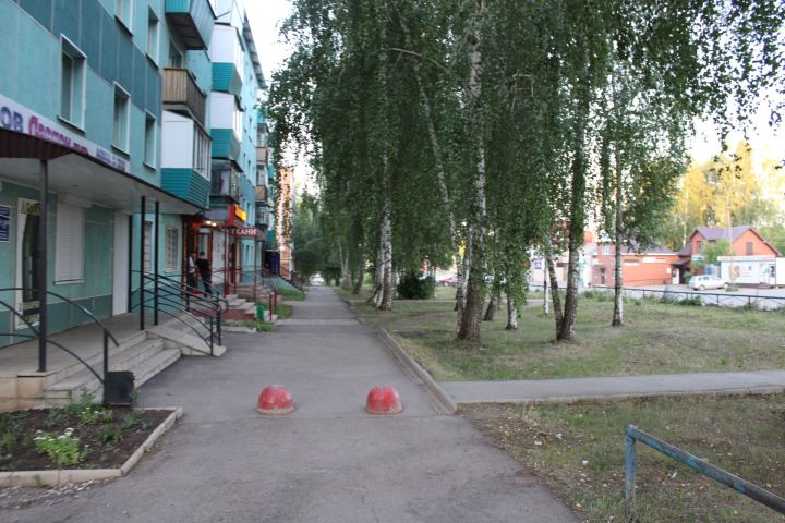 Сажаете дерево у дома? Проверьте, не рискуете ли вы фундаментом!